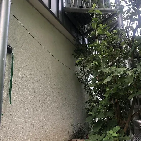 アパート Am Heider Bergsee Brühl