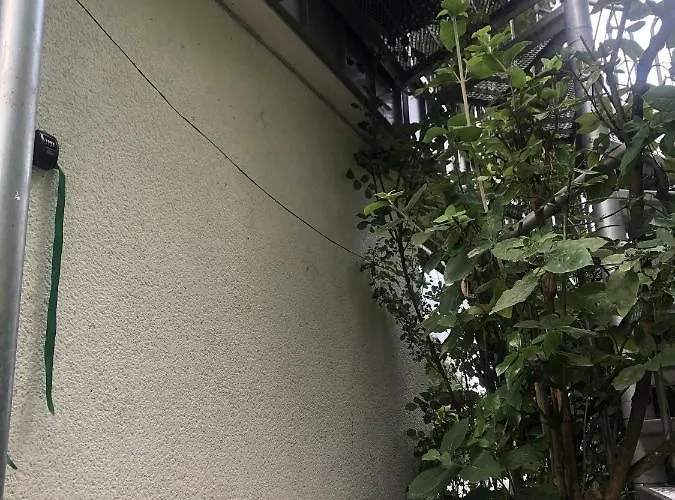 Lejlighed Am Heider Bergsee Brühl