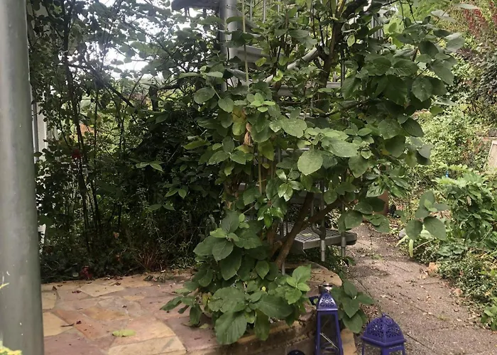 Lejlighed Am Heider Bergsee Brühl